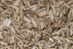 biomass boilers Bedwell